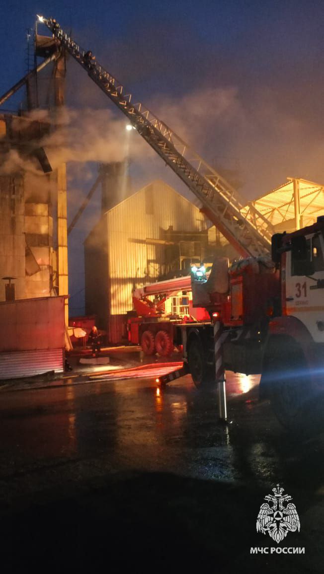 В Щекинском районе произошел пожар в хранилище семян В Щекинском районе произошел пожар в хранилище семян