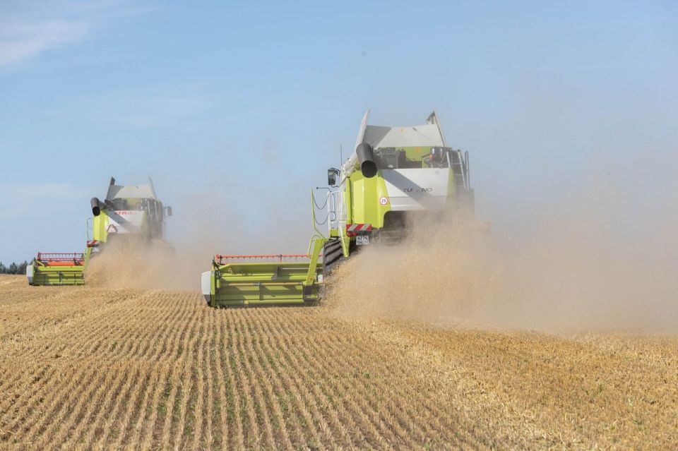 Больше молока, зерна и овощей: в Туле обсудили итоги работы АПК за 2025 год