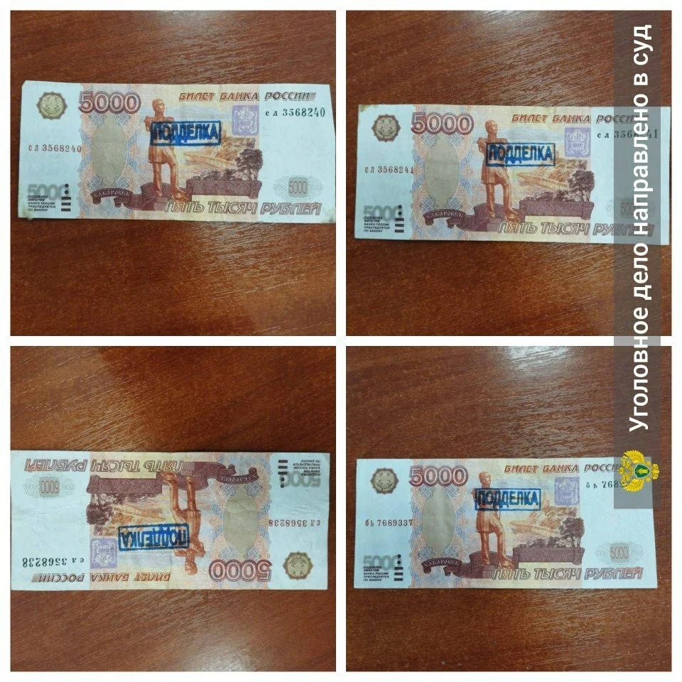 Уроженка Смоленска устроила шопинг с поддельными деньгами в Туле