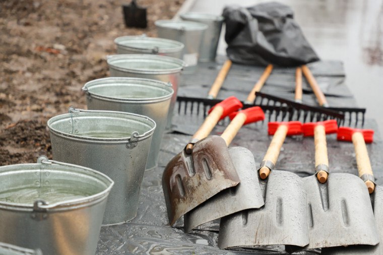 В Туле завершается осеннее озеленение В Туле завершается осеннее озеленение