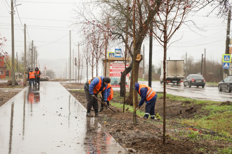 В Туле завершается осеннее озеленение В Туле завершается осеннее озеленение