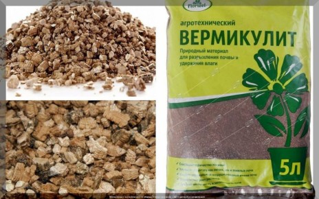 Вермикулит: секреты применения для здоровья ваших растений каждую весну