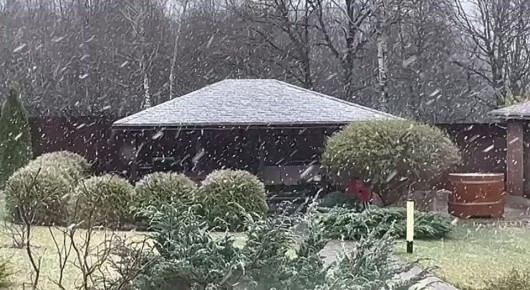 Любуемся снегом