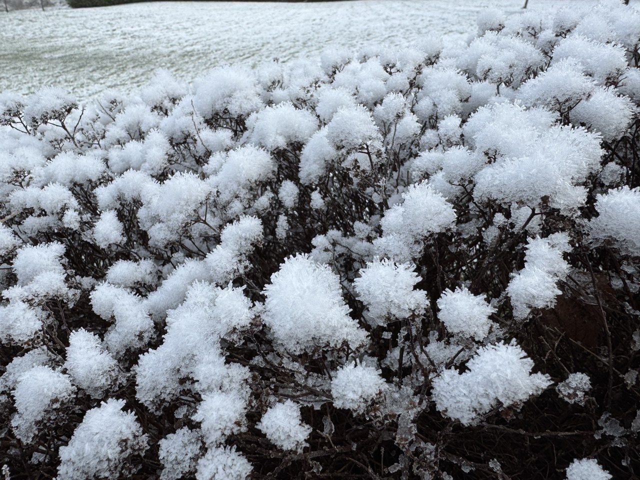 Первое зимнее утро по погоде и рассвет в Рассвете ))) Первое зимнее утро по погоде и рассвет в Рассвете )))