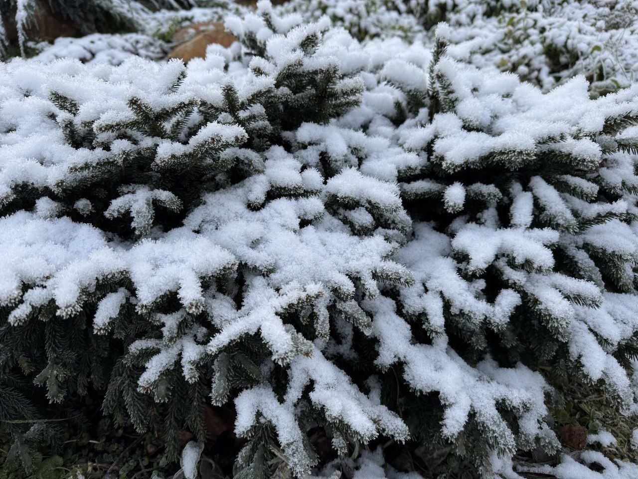 Первое зимнее утро по погоде и рассвет в Рассвете ))) Первое зимнее утро по погоде и рассвет в Рассвете )))