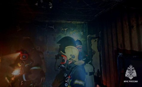 В Тульской области за сутки произошли два смертельных пожара