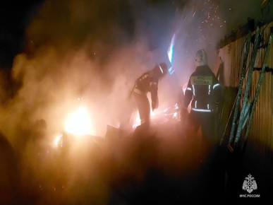 В Тульской области за прошедшие сутки 16 ноября