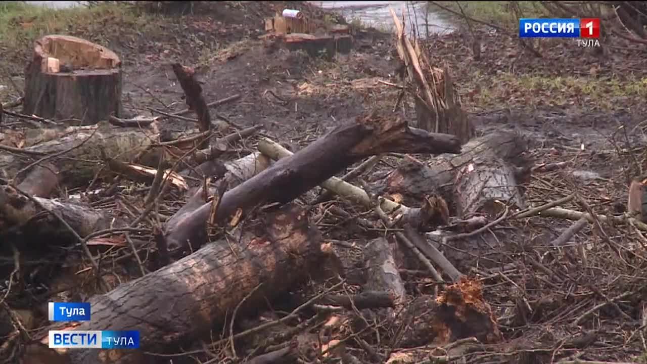 Сейчас небольшой сквер на улице Приупской больше напоминает лесоповал, но ещё недавно на этом месте всё было усажено тополями