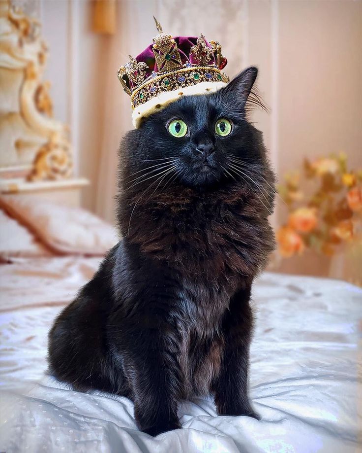 Сегодня отмечается День принцесс Сегодня отмечается День принцесс