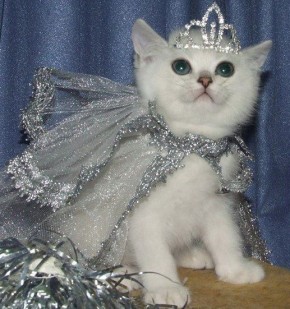 Сегодня отмечается День принцесс