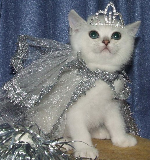 Сегодня отмечается День принцесс