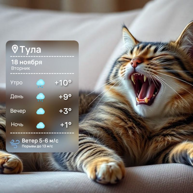 Доброе утро. Отличного вам дня и позитивного настроения!