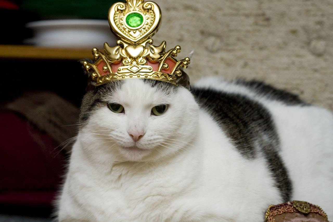 Сегодня отмечается День принцесс Сегодня отмечается День принцесс