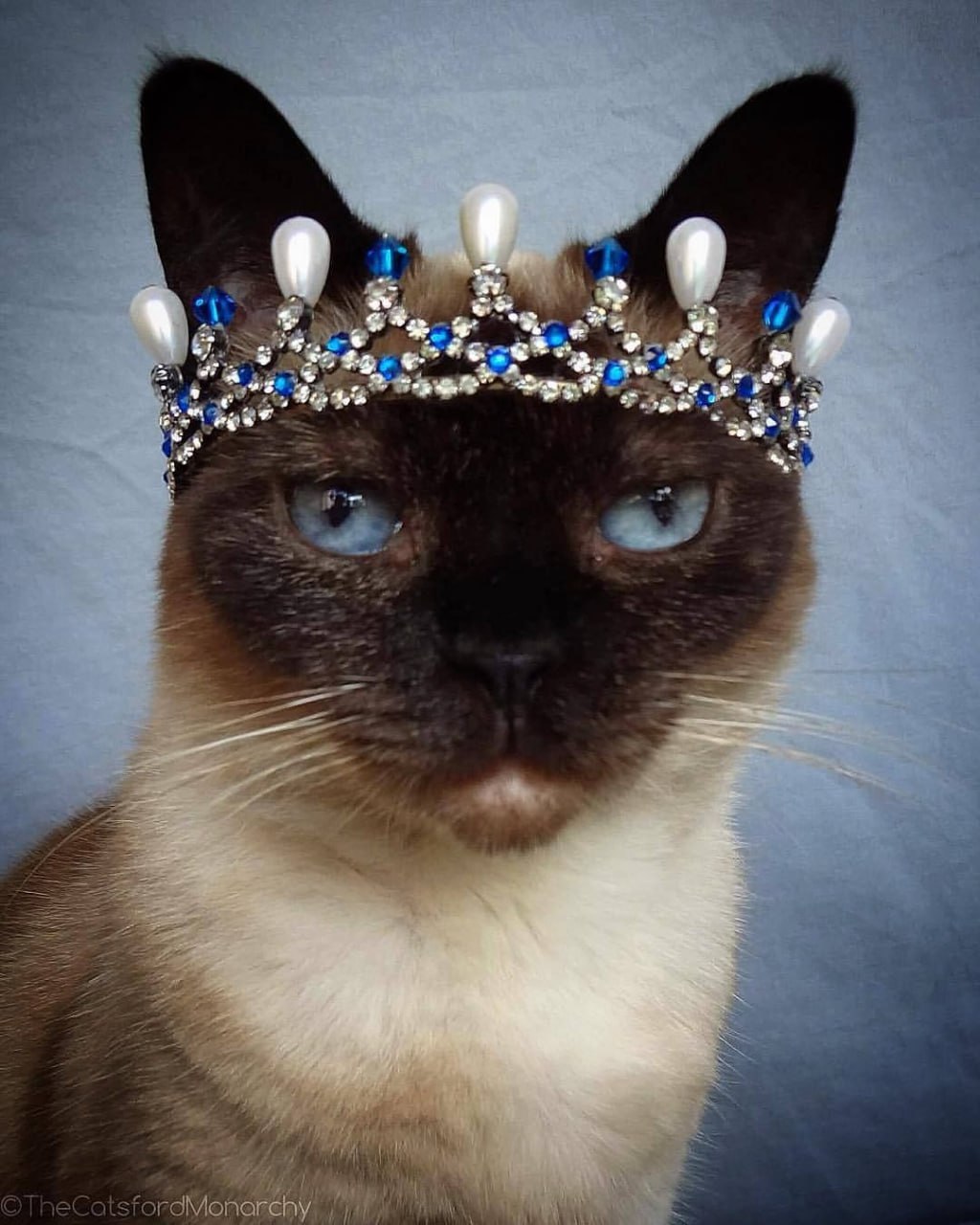 Сегодня отмечается День принцесс Сегодня отмечается День принцесс