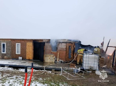 В Тульской области за прошедшие сутки 17 ноября