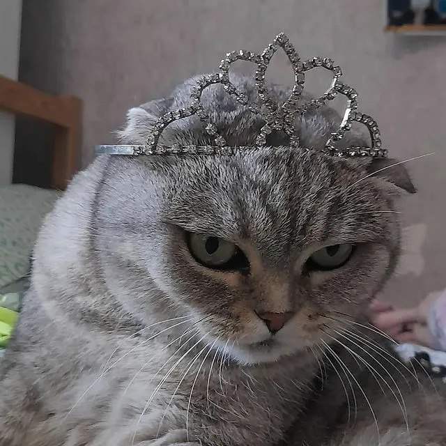 Сегодня отмечается День принцесс Сегодня отмечается День принцесс