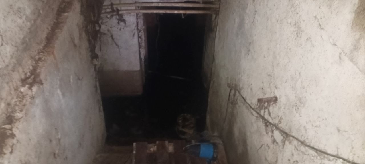 В центре Тулы в подвале пятиэтажки стали расти грибы, а людей в ноябре жрут комары: и все это в 200 метрах от «белого дома» В центре Тулы в подвале пятиэтажки стали расти грибы, а людей в ноябре жрут комары: и все это в 200 метрах от «белого дома»