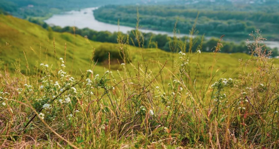 В Тульской области почти год пытаются отсудить берег Оки у частника