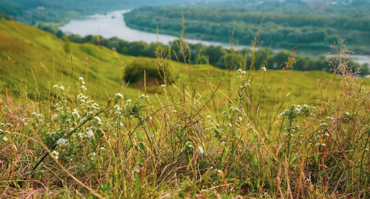 В Тульской области почти год пытаются отсудить берег Оки у частника