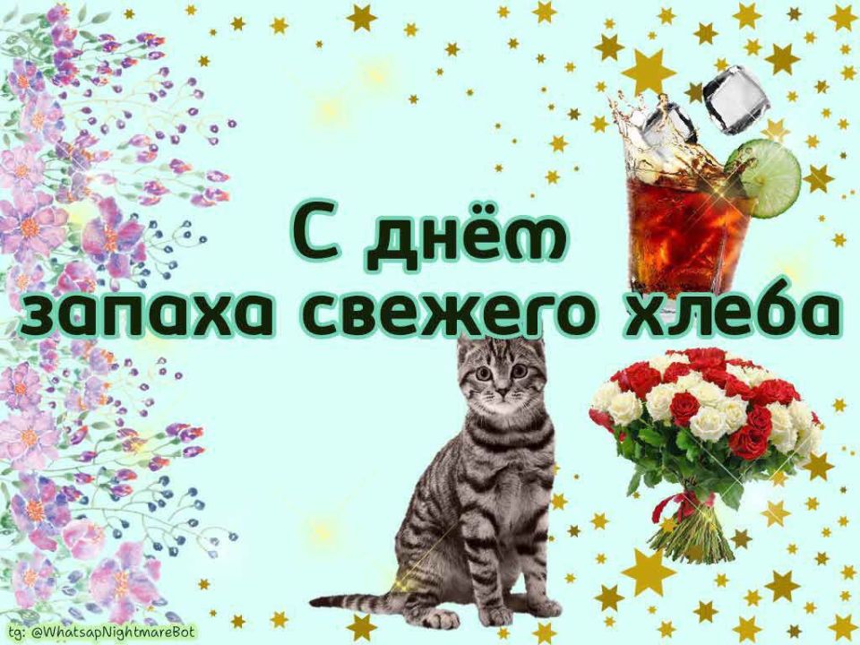 #КорочеПраздники на 19 ноября