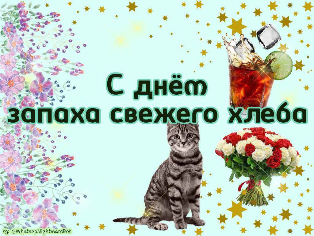 #КорочеПраздники на 19 ноября