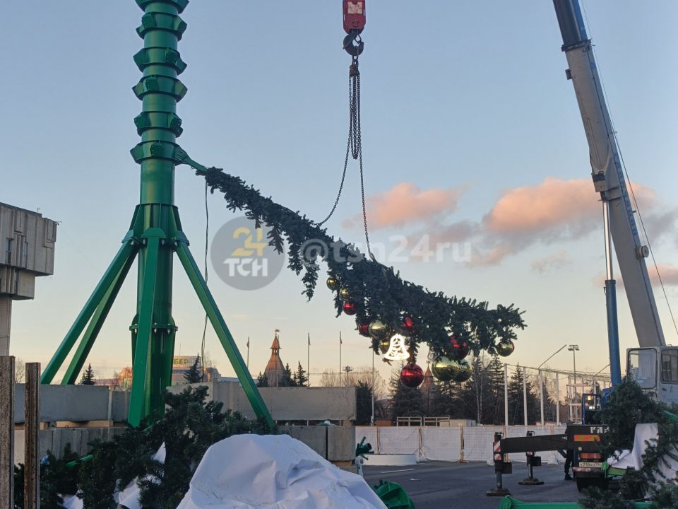 На новой главной ёлке Тулы уже появилась первая веточка