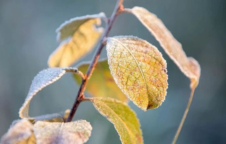 Погода на 20 ноября. Время рассвета: 08:07