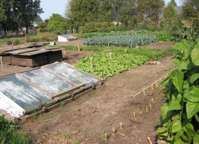 Современные методы обработки растительных остатков