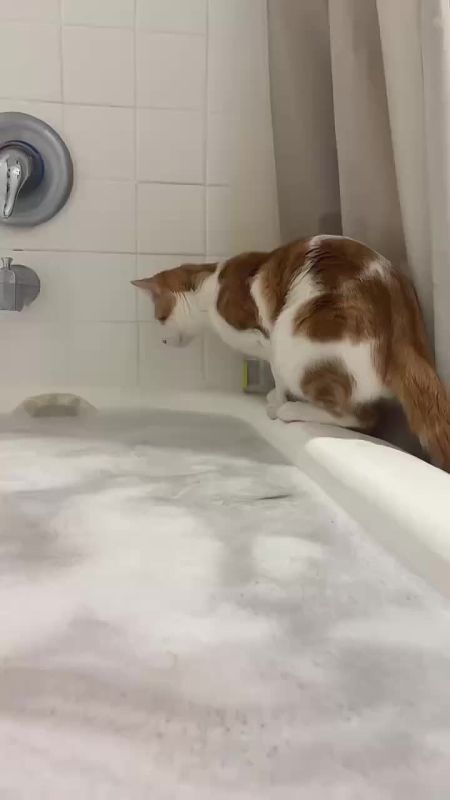 Котя просто забыл про страх воды