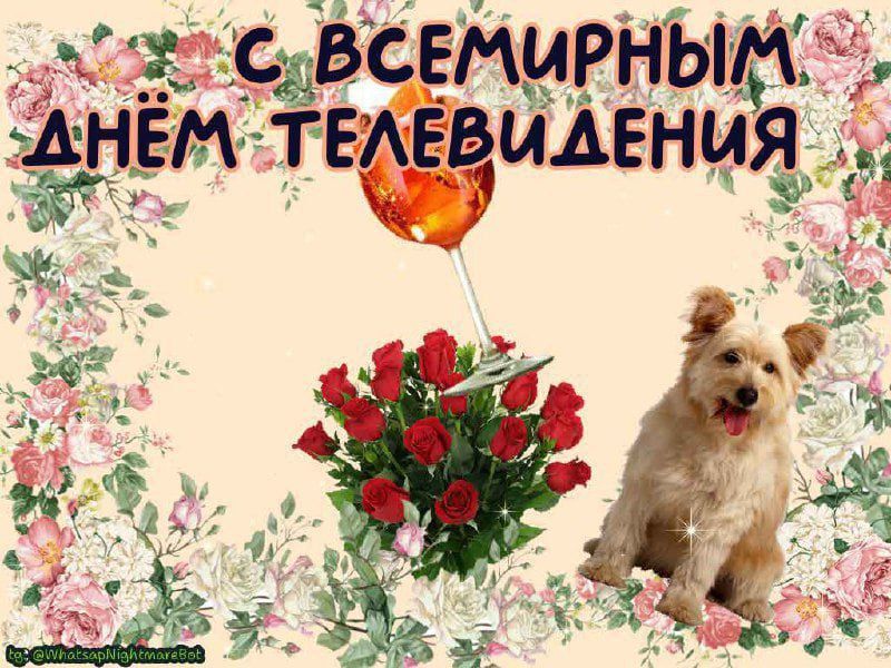 #КорочеПраздники на 21 ноября