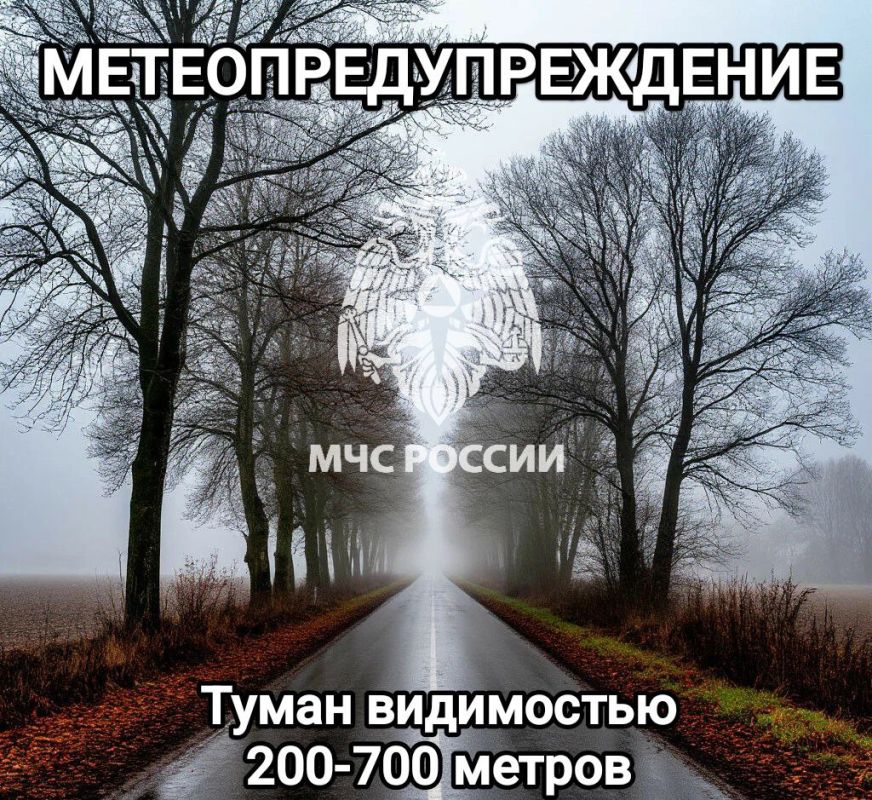#Метеопредупреждение. В ближайшие 1-3 часа с сохранением вечером 21 ноября и ночью 22 ноября местами на территории Тульской области ожидается туман с видимостью 200-700 метров (по данным Тульского центра по гидрометеорологии...
