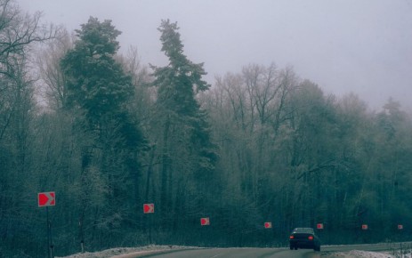 В Тульской области объявили метеопредупреждение из-за тумана