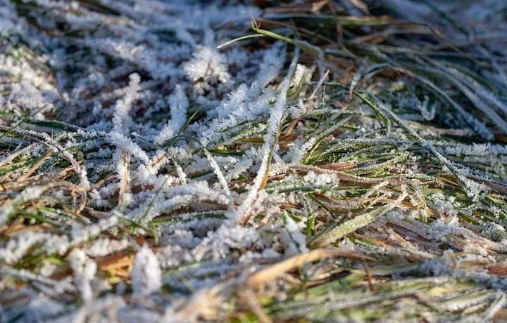 Погода на 23 ноября. Время рассвета: 08:12