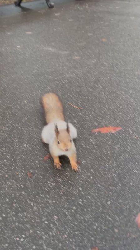 До зимы чуть больше недели, пора думать о запасах)