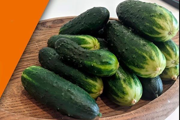 Огурцы Трюкач: идеальный выбор для урожая круглый год