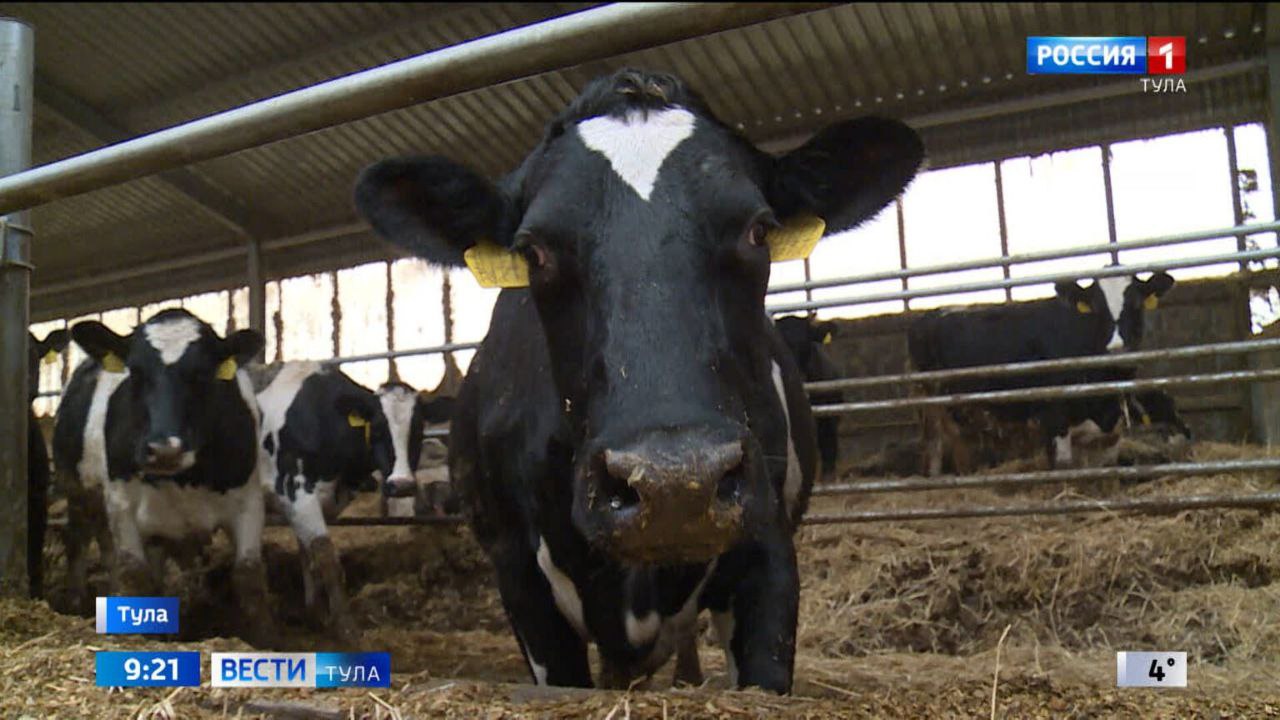 Говяжья печень оказалась свиной: предприниматель поставлял в соцучреждение фальсификат