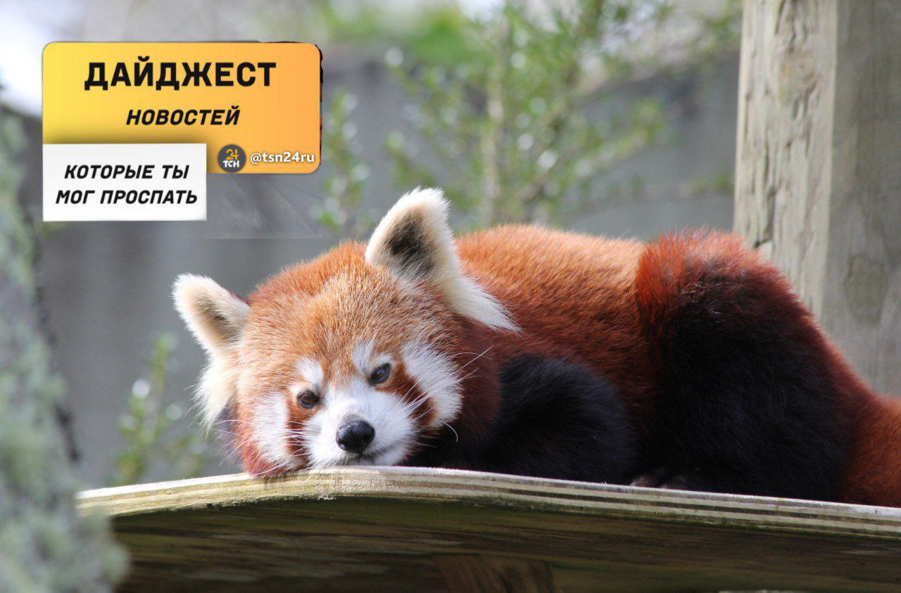 Рассказываем о новостях, которые вы могли пропустить вчера