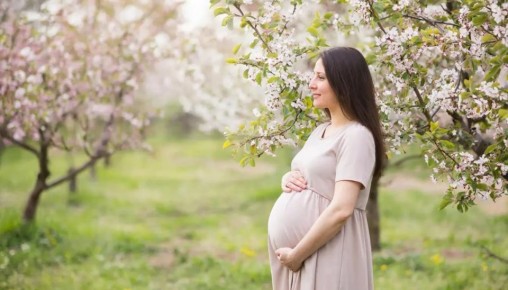 Число тулячек фертильного возраста сократилось на 20 тысяч за пять лет