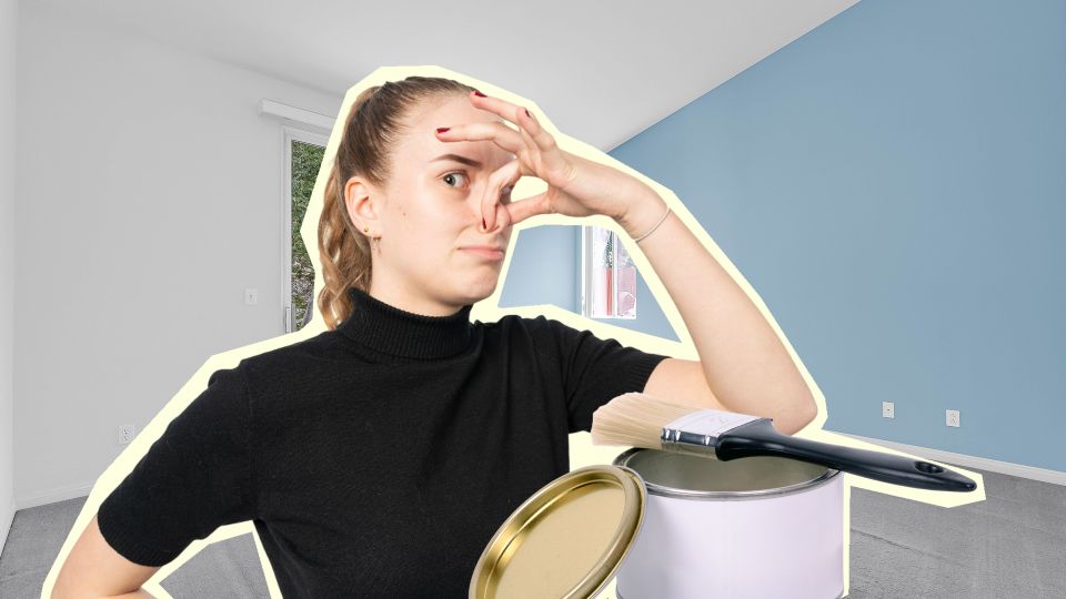 Простой трюк избавит от запаха краски: теперь и ремонт не страшен