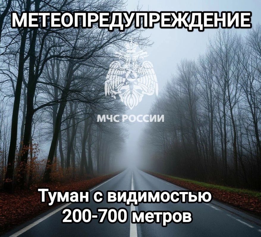 #Метеопредупреждение. В ближайшие 1-3 часа 27 ноября с сохранением ночью и утром 28 ноября на территории Тульской области местами ожидается туман с видимостью 200-700м (по данным Тульского центра по гидрометеорологии и...
