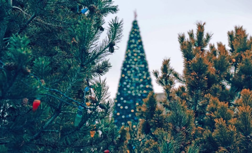 На заседании Тульской облдумы обсудили целесообразность трат на новогоднюю елку и каток