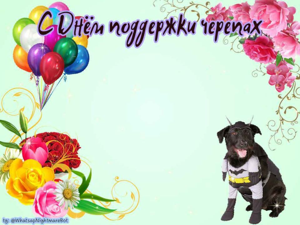 #КорочеПраздники на 27 ноября