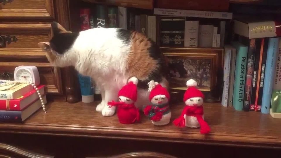 Моя реакция на новогодние украшения в ноябре