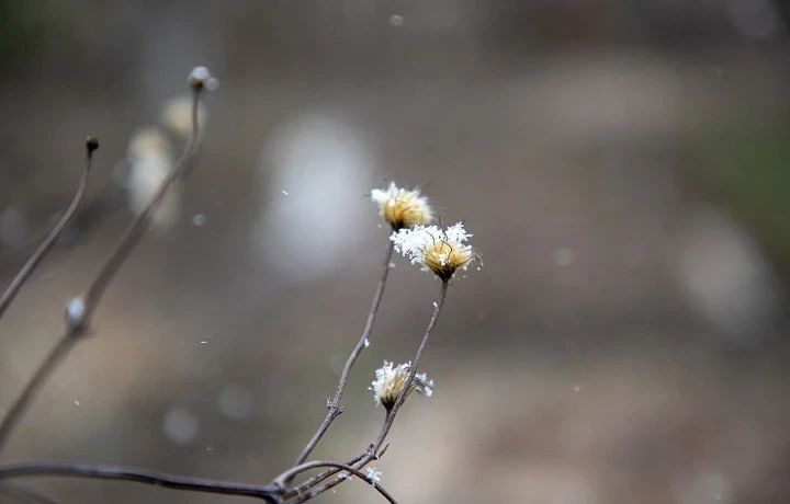 Погода на 27 ноября. Время рассвета: 08:19