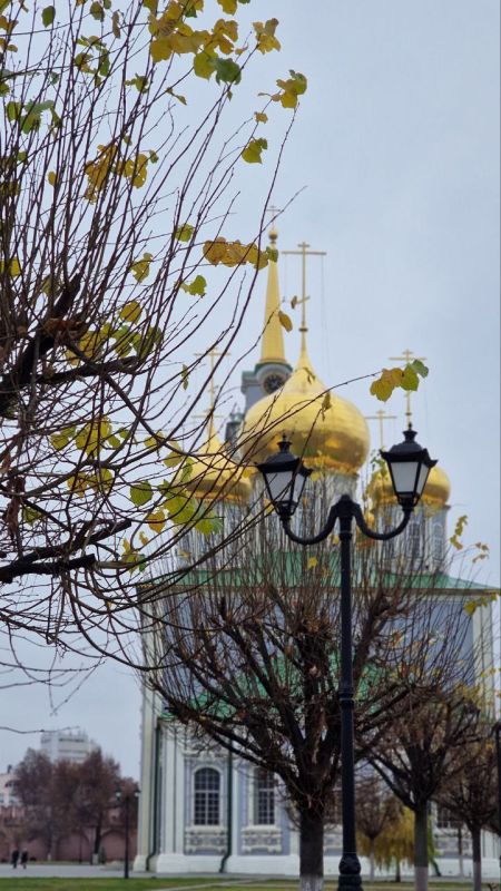 Тульская городская Дума желает вам хороших выходных