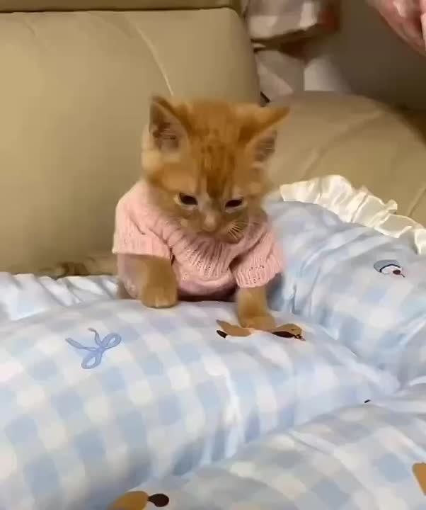 Ето я хвастаюсь новым свитером, который мне связала мама