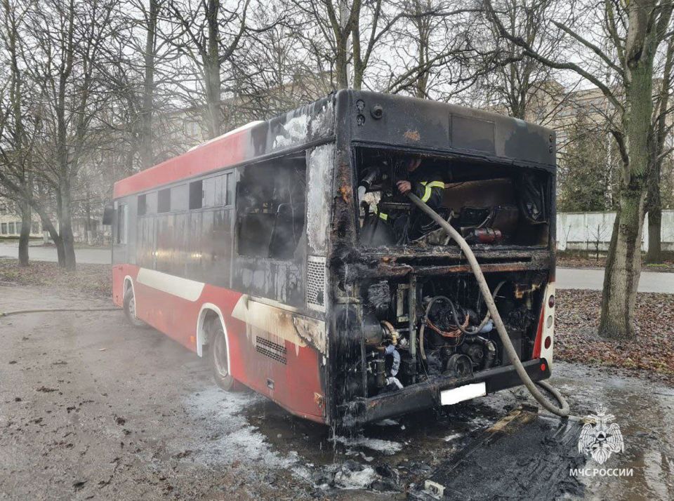 В Тульской области за прошедшие сутки 28 ноября