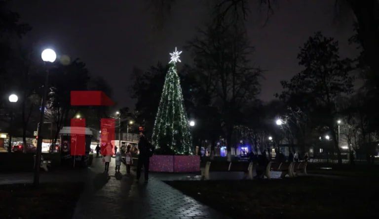 «Смерть перфекциониста»: елка в тульском сквере привлекла внимание жителей