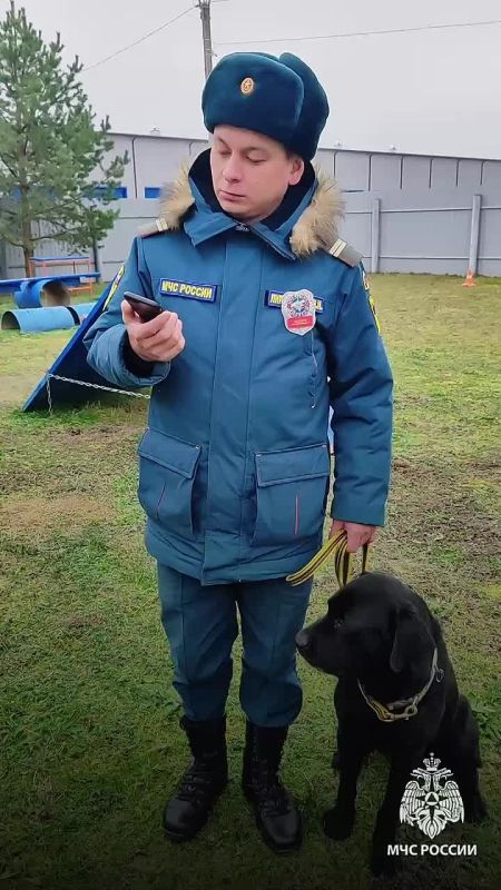 #ДеньМатери. Они спасают людей А вы - их сердца В День матери сотрудники спасательного ведомства говорят самые главные слова своим мамам