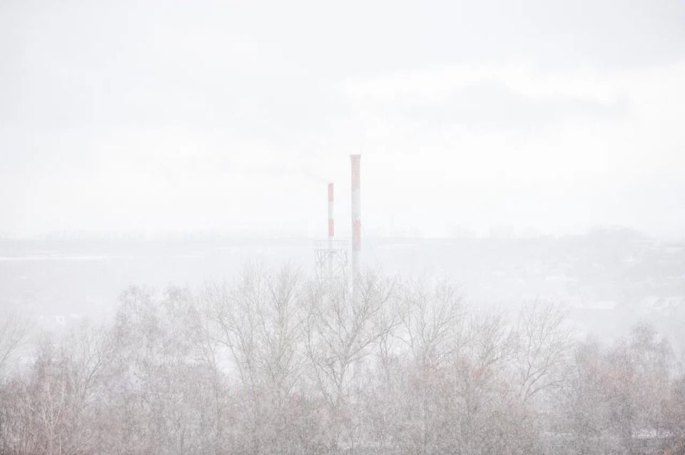 И вновь сильный туман окутает Тульскую область в ближайшие 1-3 часа